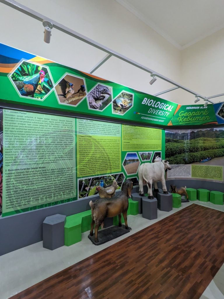 Diorama Edukasi Di Galeri Geopark Kebumen Yang Menjelaskan Kekayaan Alam, Budaya, Dan Geologi Kebumen.